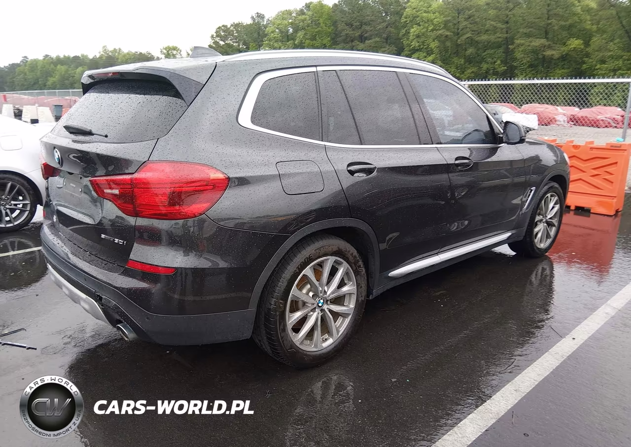 2019 BMW X3 Sdrive30I VIN:5UXTR7C56KLR48986 - 4