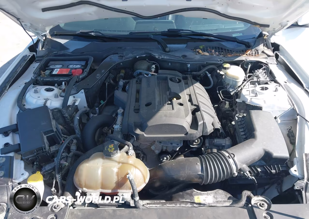2017 Ford Mustang Ecoboost VIN:1FA6P8TH5H5293176 - 10