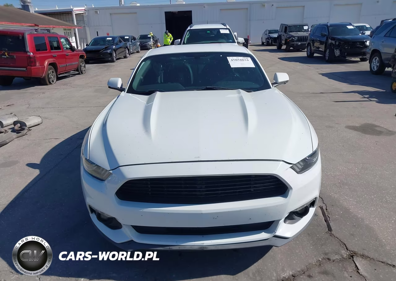 2017 Ford Mustang Ecoboost VIN:1FA6P8TH5H5293176 - 13
