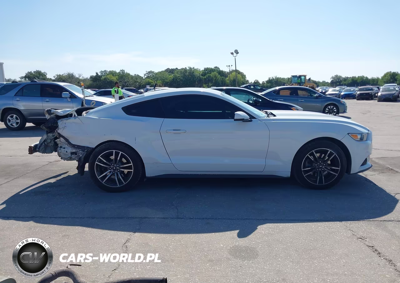 2017 Ford Mustang Ecoboost VIN:1FA6P8TH5H5293176 - 14