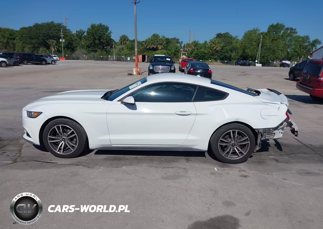 2017 Ford Mustang Ecoboost VIN:1FA6P8TH5H5293176 - 15