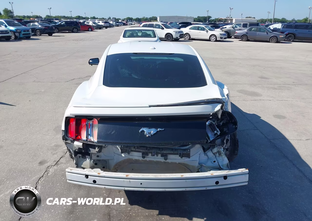 2017 Ford Mustang Ecoboost VIN:1FA6P8TH5H5293176 - 17