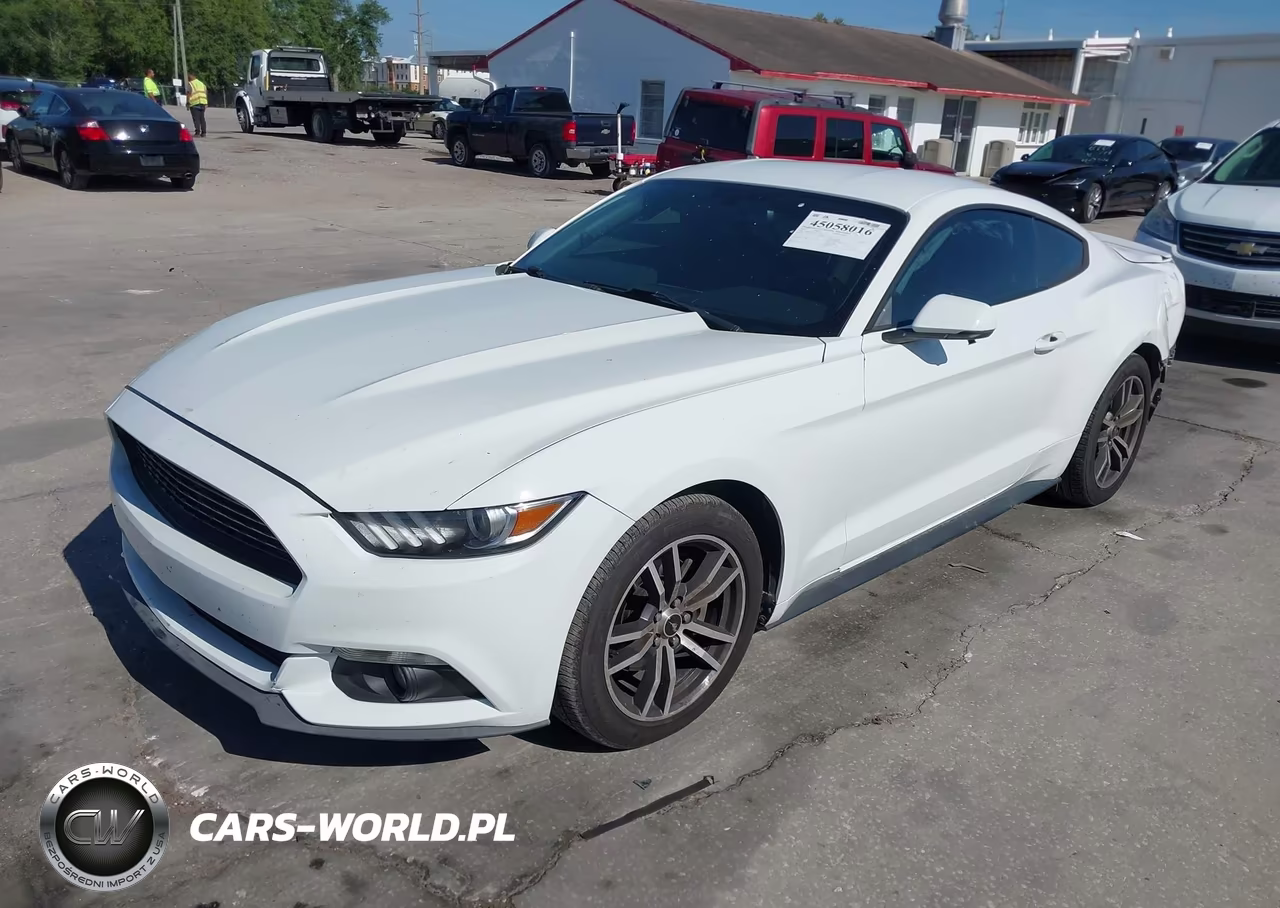 2017 Ford Mustang Ecoboost VIN:1FA6P8TH5H5293176 - 2