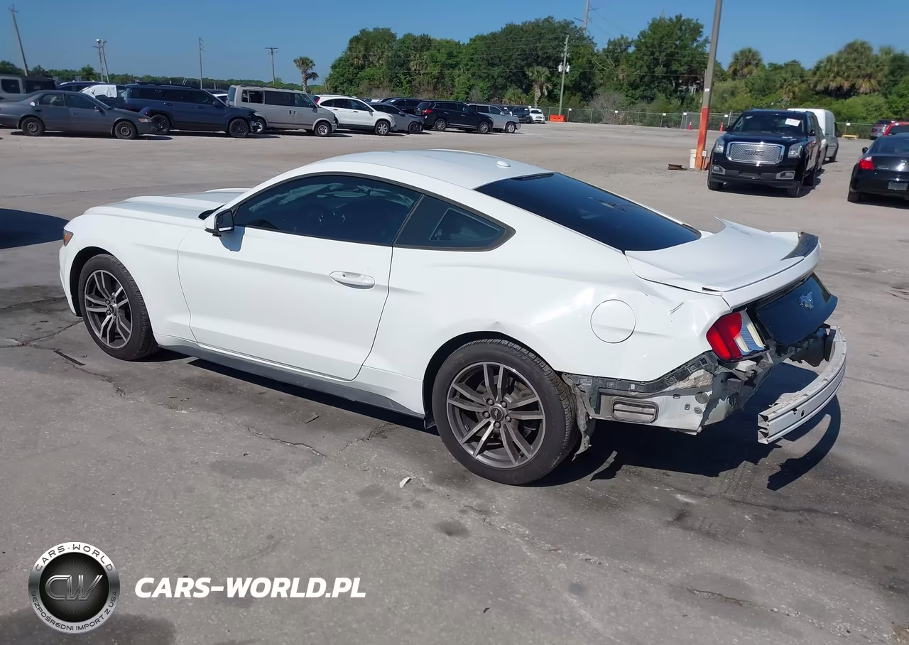 2017 Ford Mustang Ecoboost VIN:1FA6P8TH5H5293176 - 3