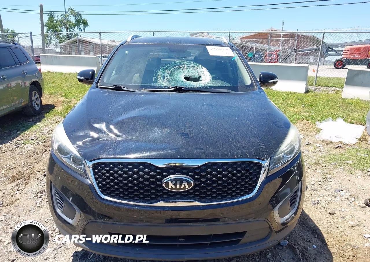 2017 Kia Sorento 2.4L Lx VIN:5XYPG4A3XHG285581 - 12
