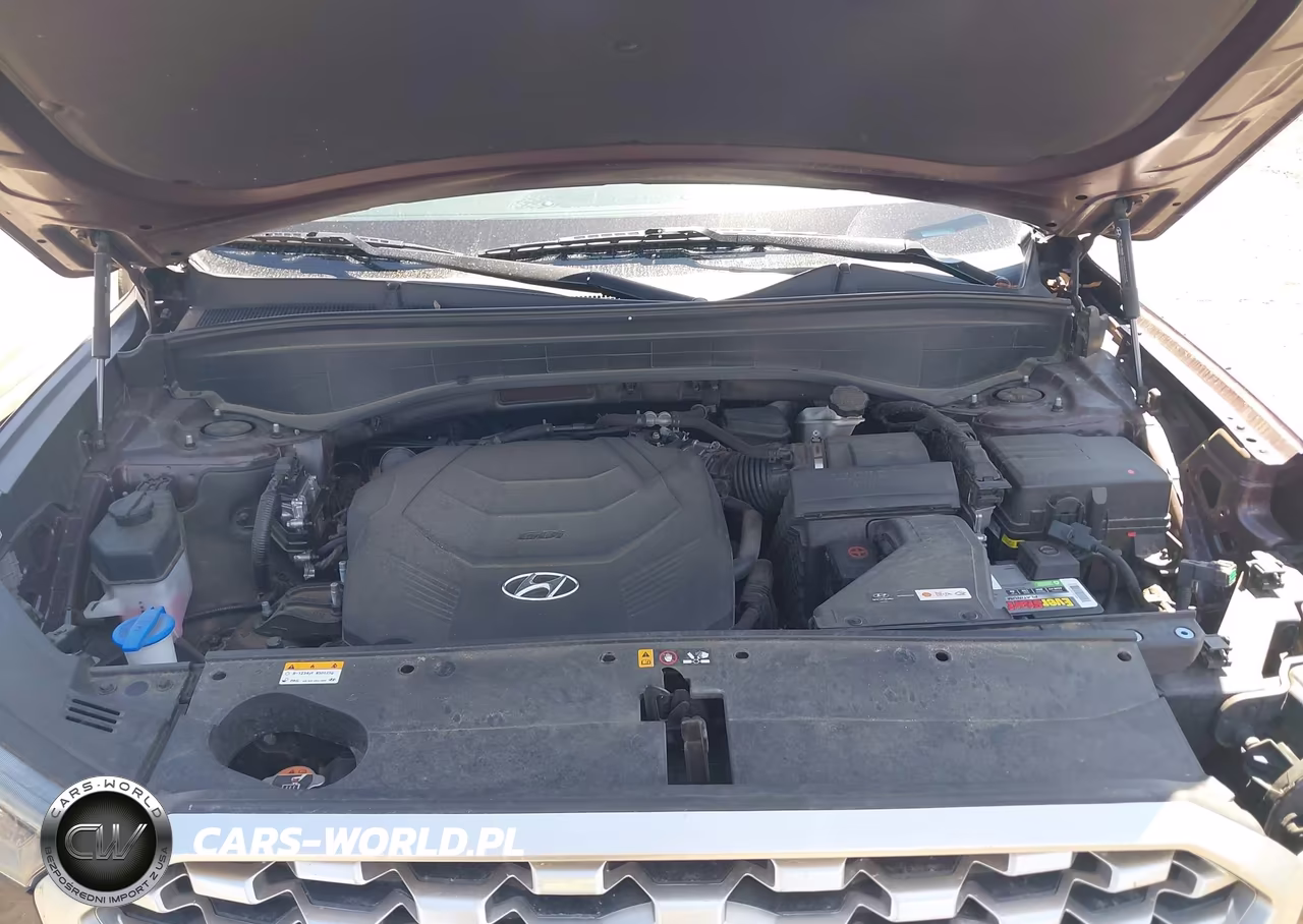 2021 Hyundai Palisade Sel VIN:KM8R4DHE6MU208204 - 10