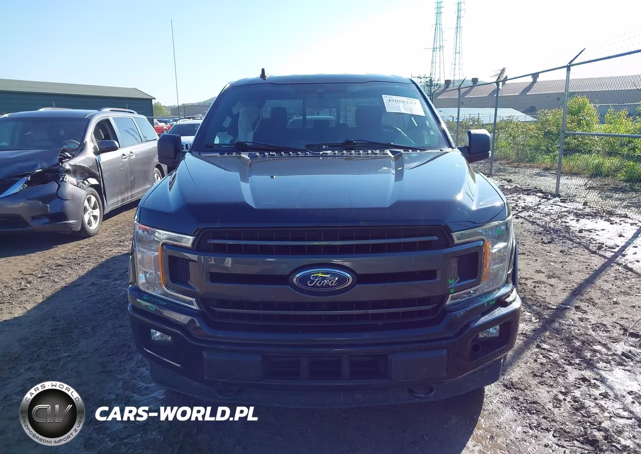 2019 Ford F-150 Xlt VIN:1FTEW1EP4KFC31029 - 12