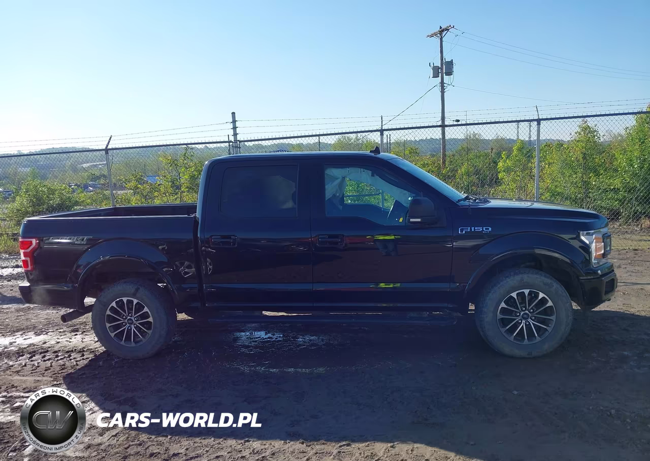 2019 Ford F-150 Xlt VIN:1FTEW1EP4KFC31029 - 13