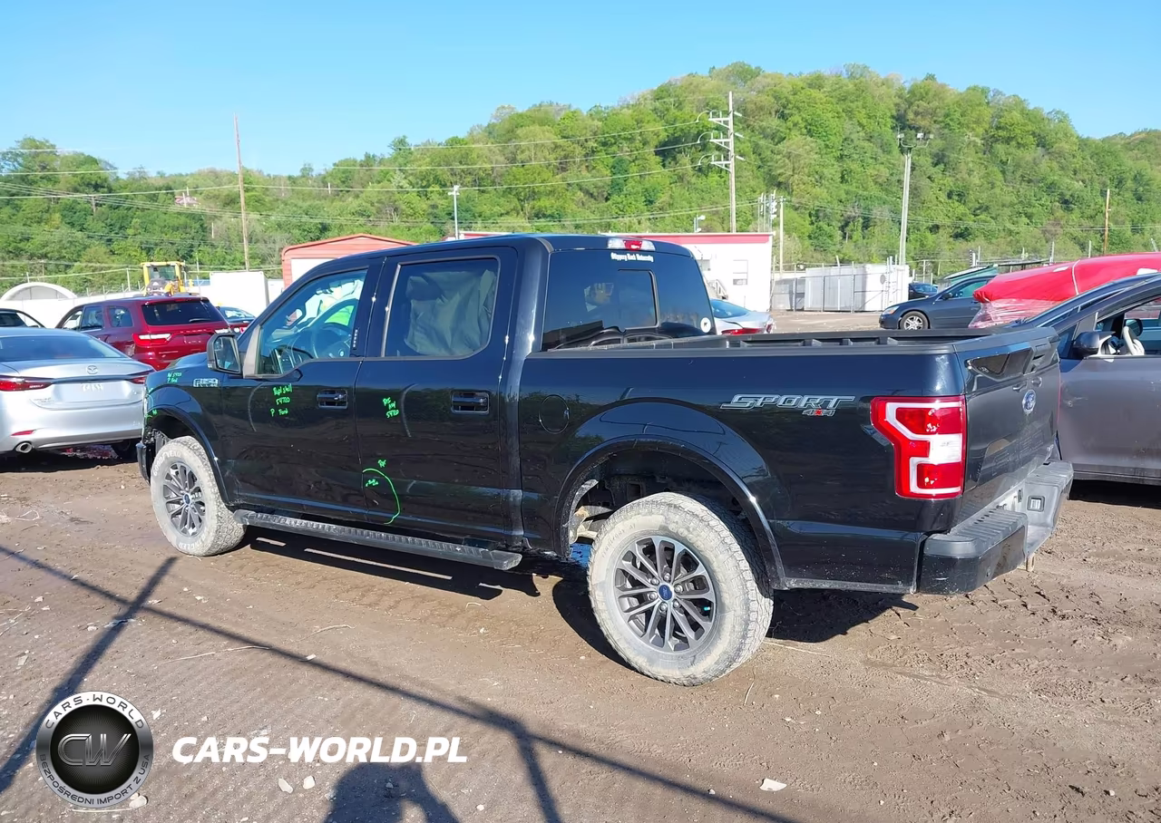 2019 Ford F-150 Xlt VIN:1FTEW1EP4KFC31029 - 14