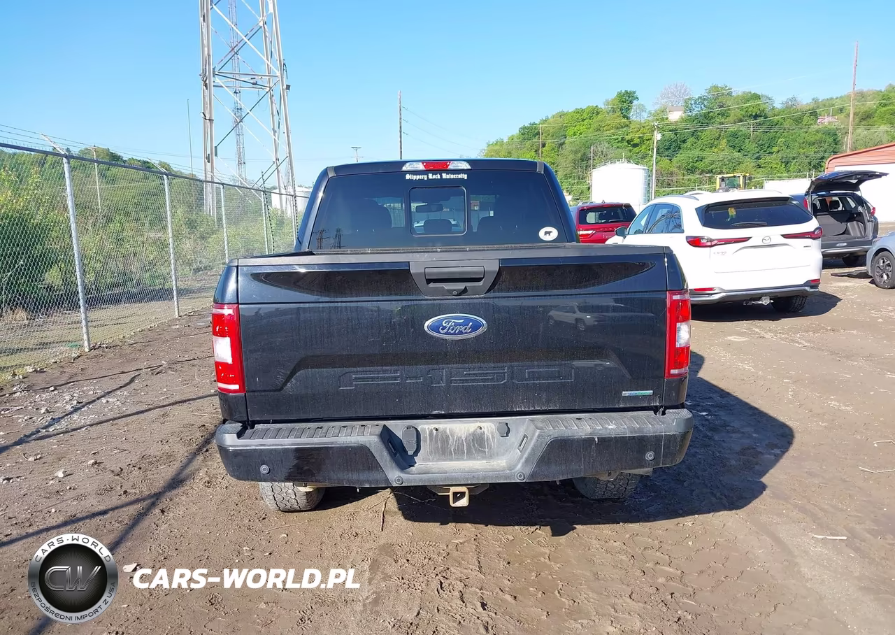 2019 Ford F-150 Xlt VIN:1FTEW1EP4KFC31029 - 16