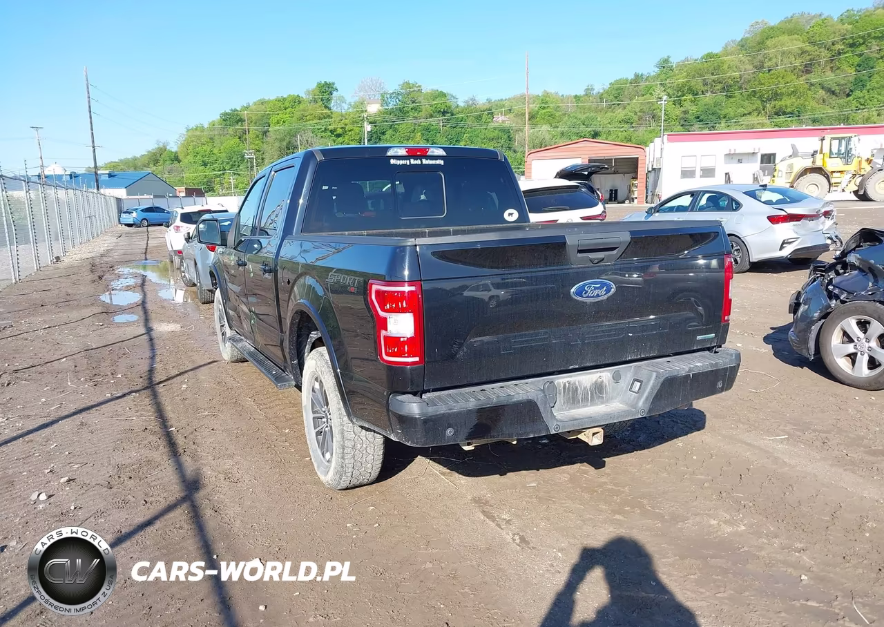 2019 Ford F-150 Xlt VIN:1FTEW1EP4KFC31029 - 3