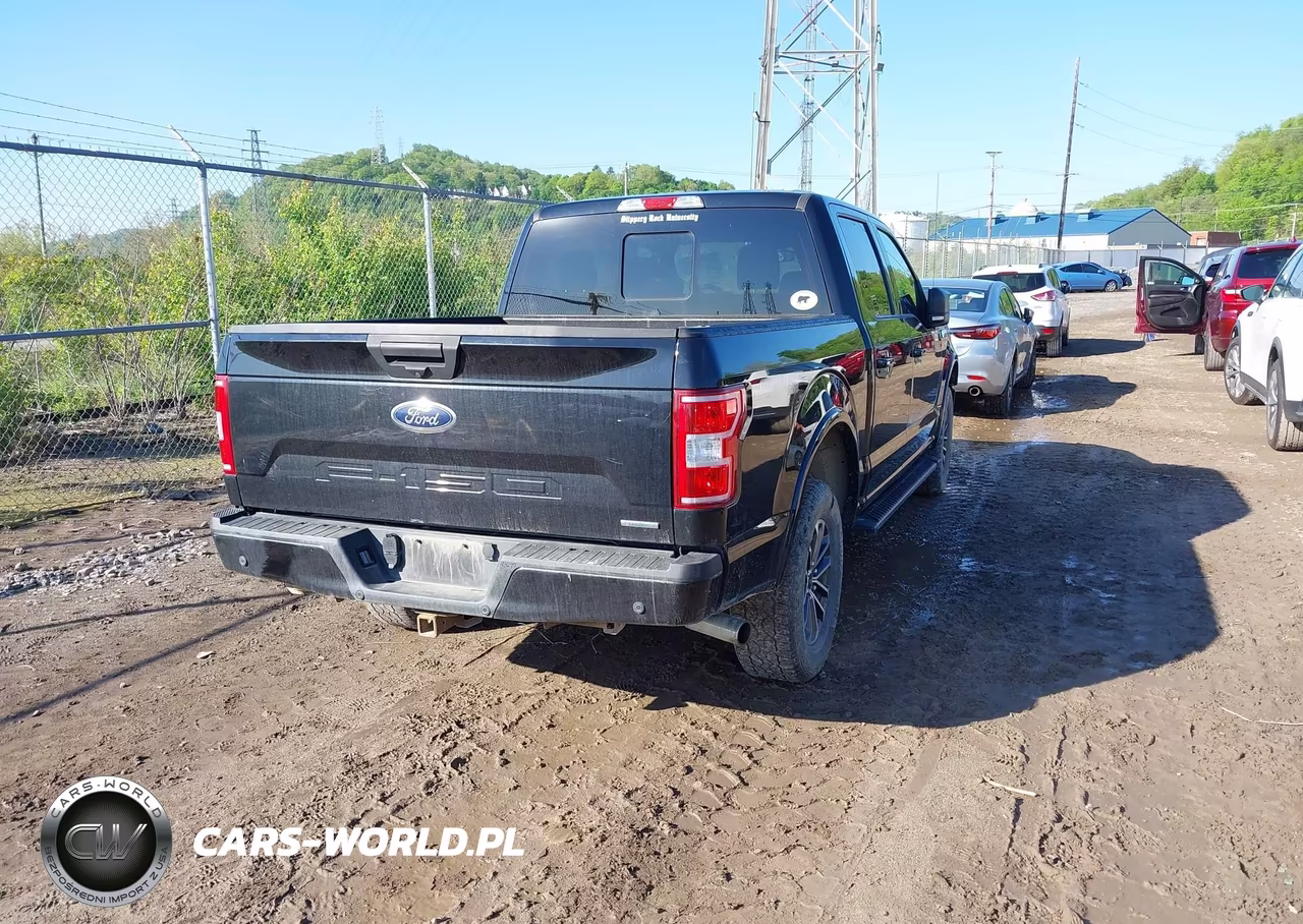 2019 Ford F-150 Xlt VIN:1FTEW1EP4KFC31029 - 4