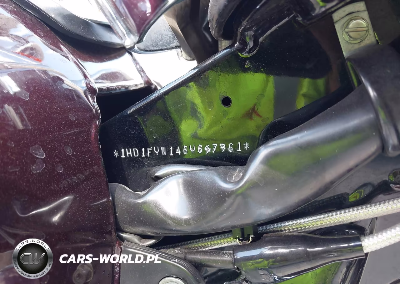 2006 Harley-Davidson Flhrsi VIN:1HD1FYW146Y657961 - 10