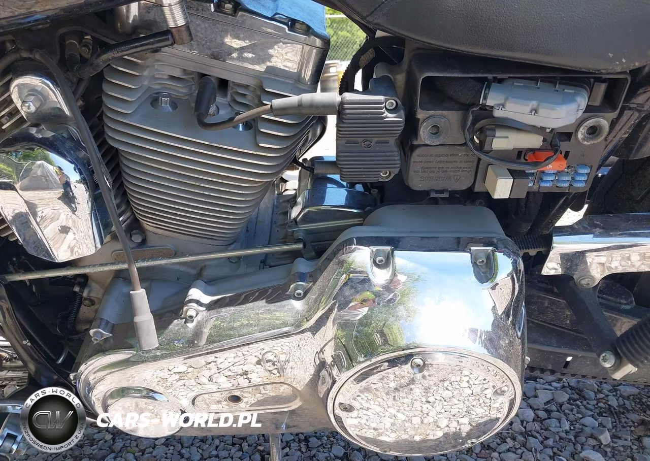 2009 Harley-Davidson Fxdc VIN:1HD1GV4109K315235 - 9