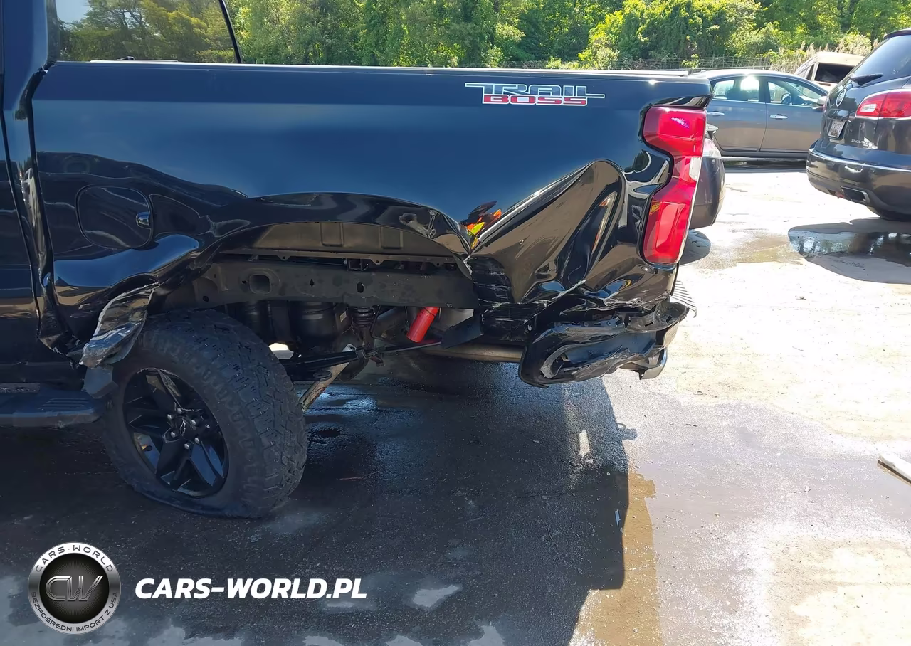 2020 Chevrolet Silverado 1500 4Wd Short Bed Custom Trail Boss VIN:1GCPYCEF7LZ171205 - 6