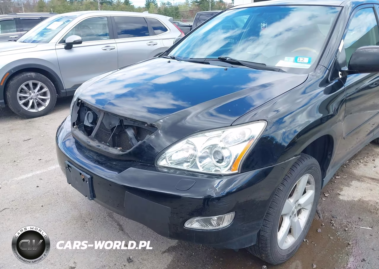2004 Lexus Rx 330 VIN:2T2HA31U64C026905 - 6