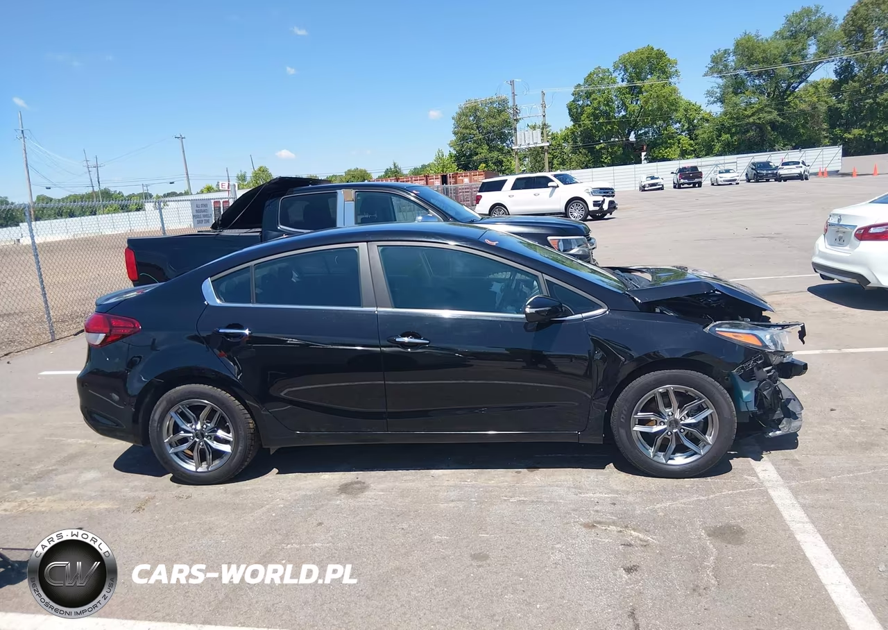 2017 Kia Forte S VIN:3KPFL4A7XHE054266 - 12