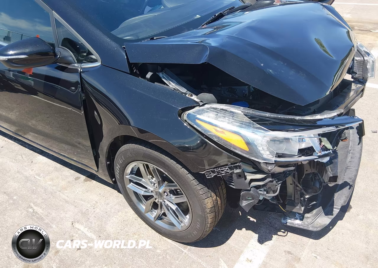 2017 Kia Forte S VIN:3KPFL4A7XHE054266 - 16