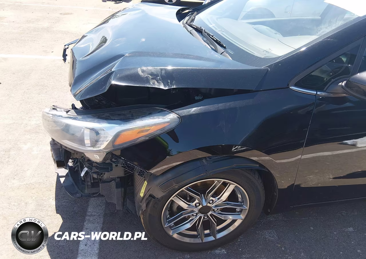 2017 Kia Forte S VIN:3KPFL4A7XHE054266 - 17