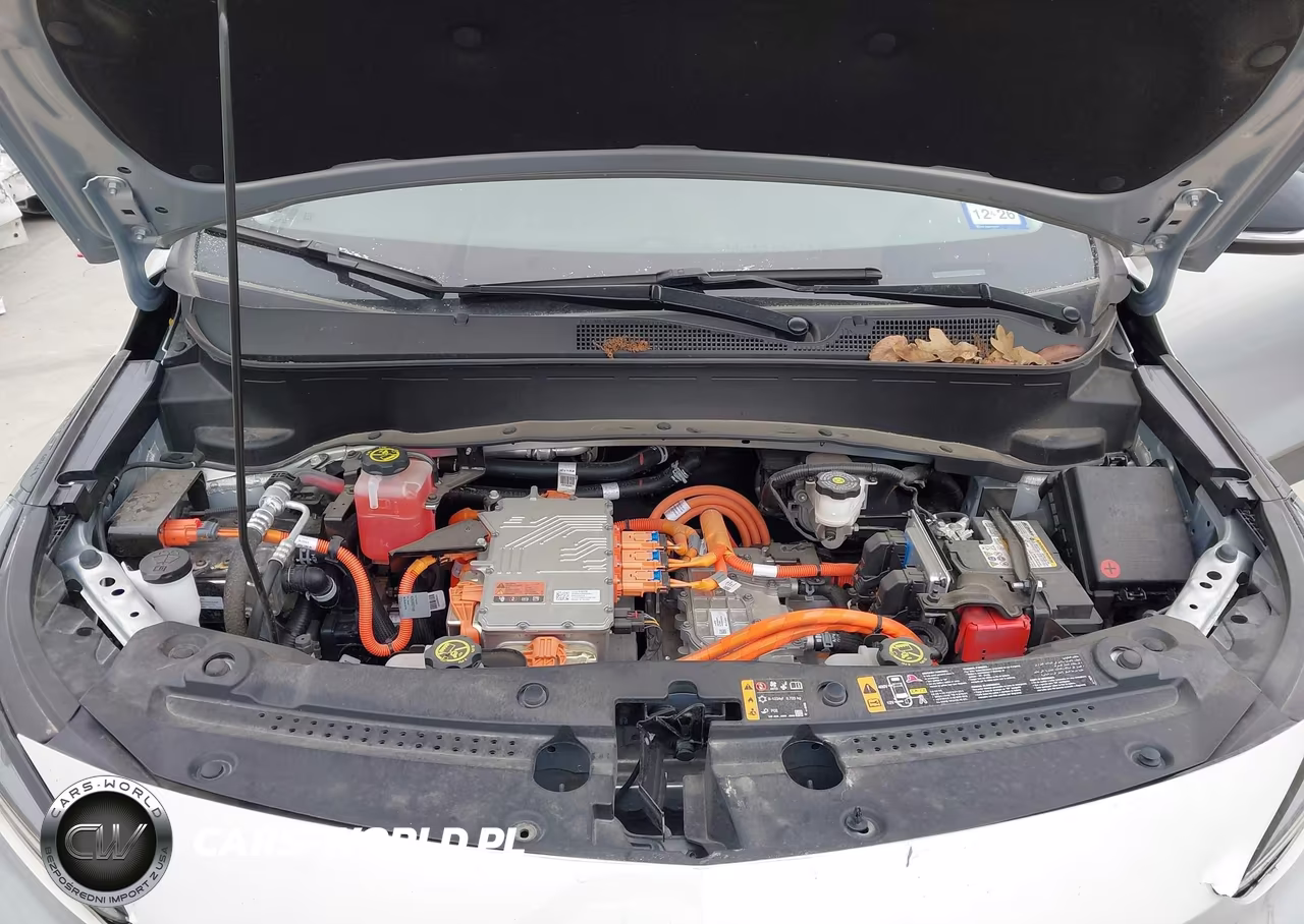 2023 Chevrolet Bolt Euv Fwd Lt VIN:1G1FY6S06P4180843 - 10