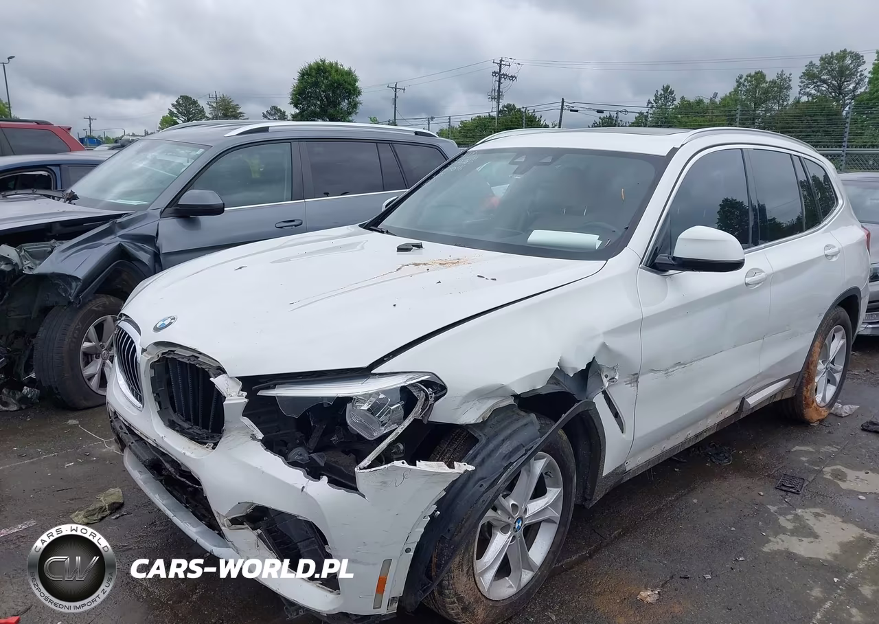 2019 BMW X3 Sdrive30I VIN:5UXTR7C54KLF24046 - 2