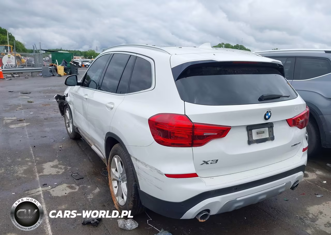 2019 BMW X3 Sdrive30I VIN:5UXTR7C54KLF24046 - 3