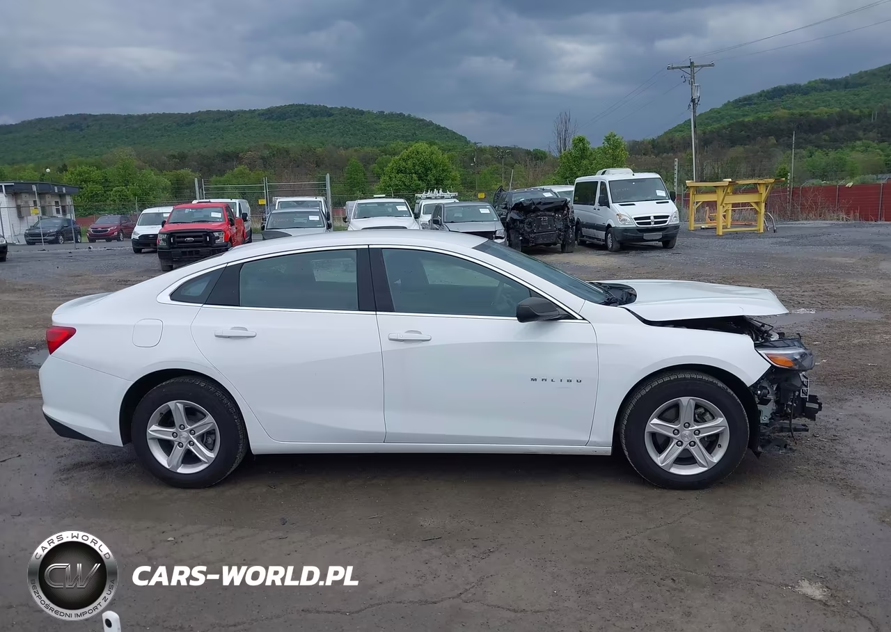 2020 Chevrolet Malibu Fwd 1Fl VIN:1G1ZC5STXLF131837 - 13