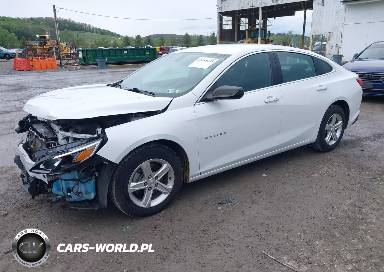 2020 Chevrolet Malibu Fwd 1Fl VIN:1G1ZC5STXLF131837 - 2