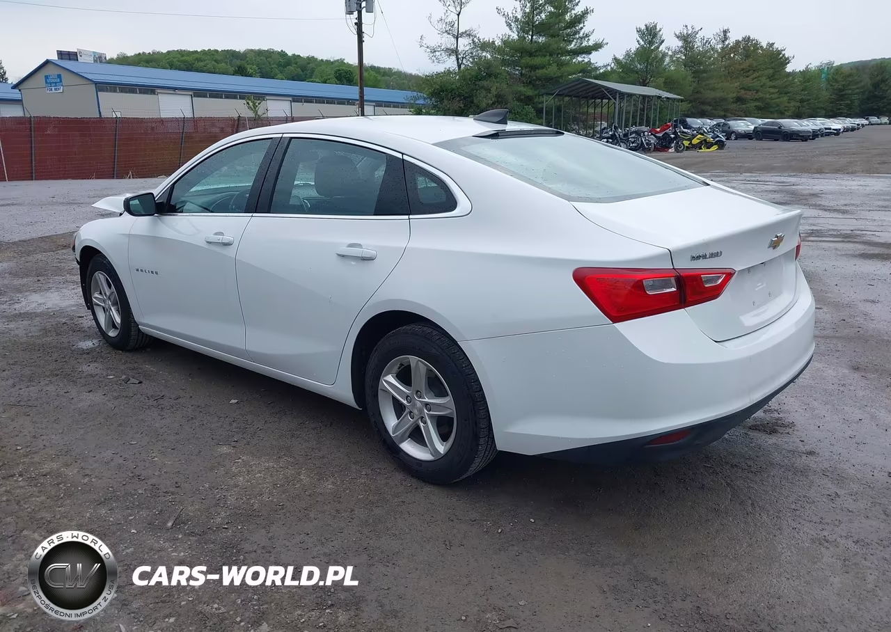 2020 Chevrolet Malibu Fwd 1Fl VIN:1G1ZC5STXLF131837 - 3