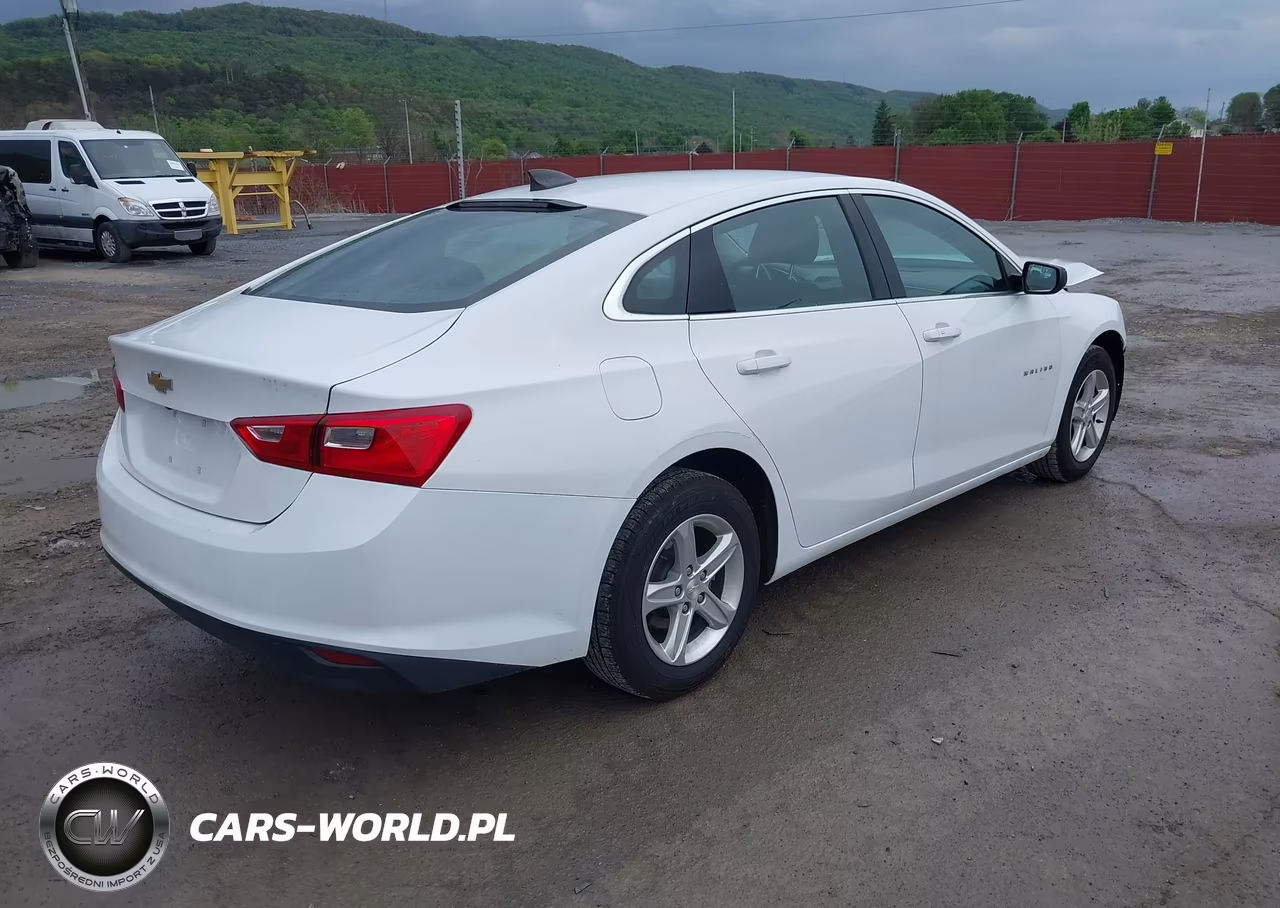 2020 Chevrolet Malibu Fwd 1Fl VIN:1G1ZC5STXLF131837 - 4