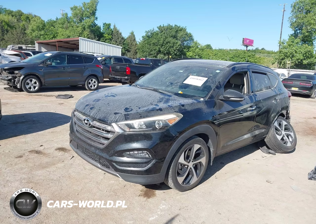 2016 Hyundai Tucson Limited VIN:KM8J33A23GU255088 - 2