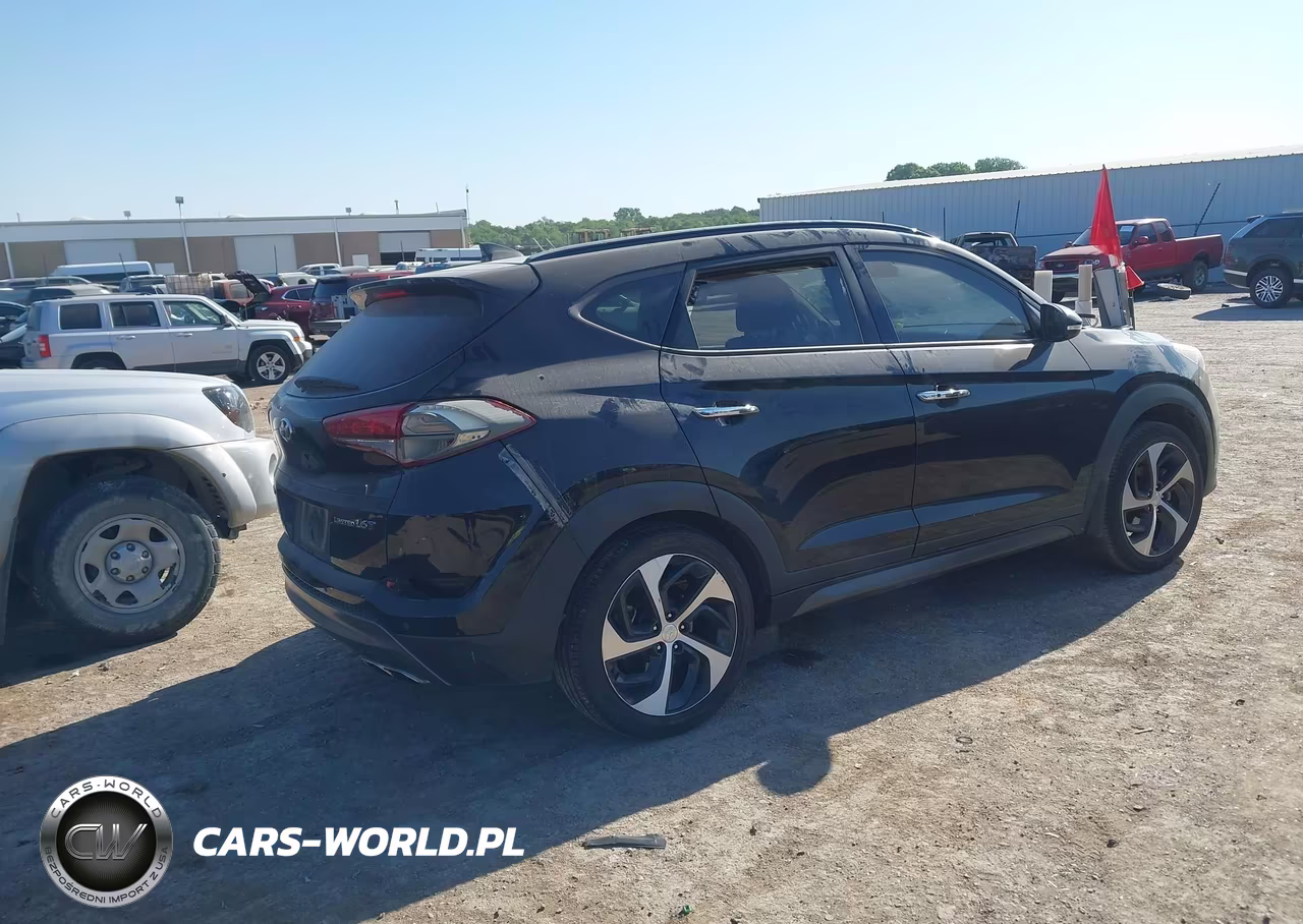 2016 Hyundai Tucson Limited VIN:KM8J33A23GU255088 - 4