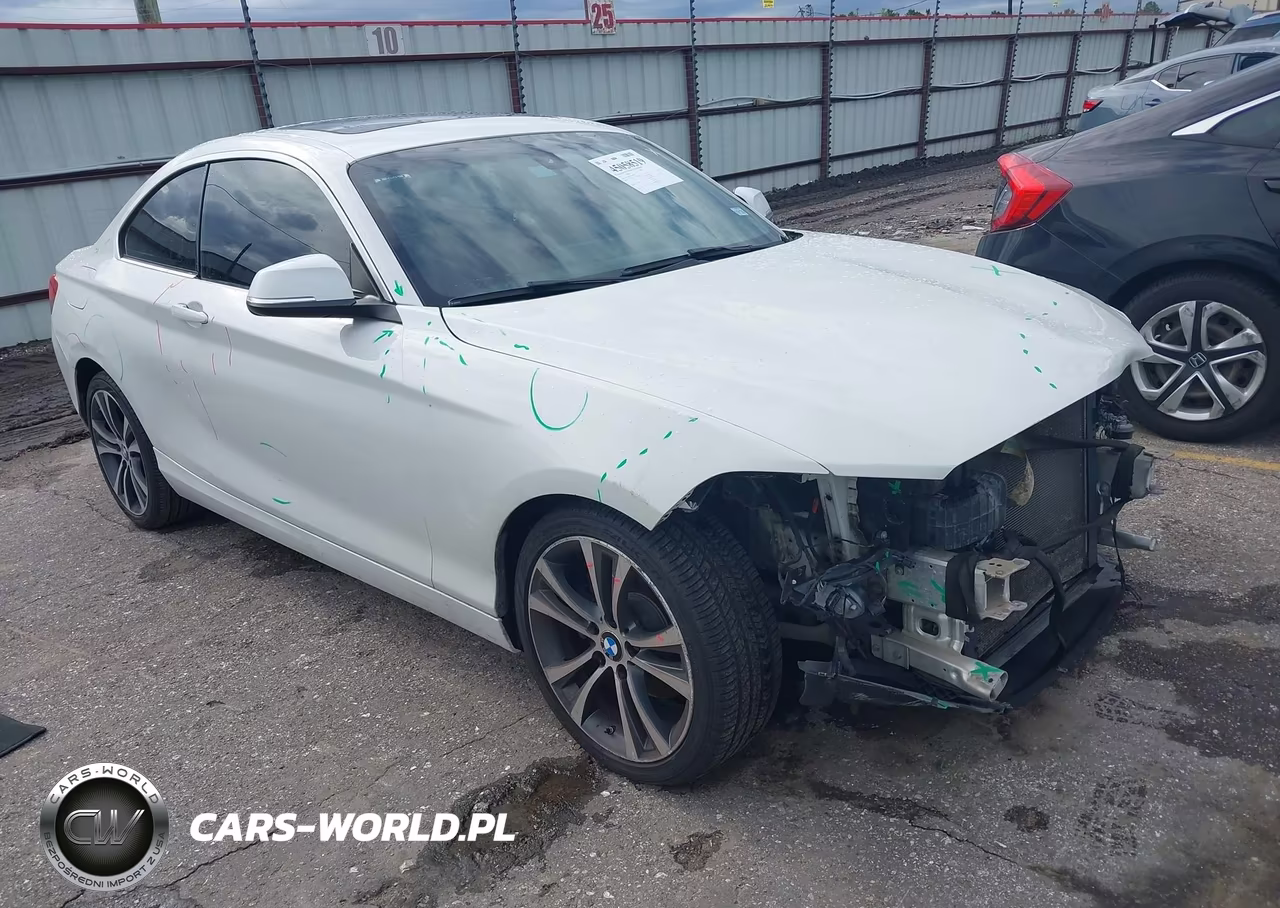 2017 BMW 230I
