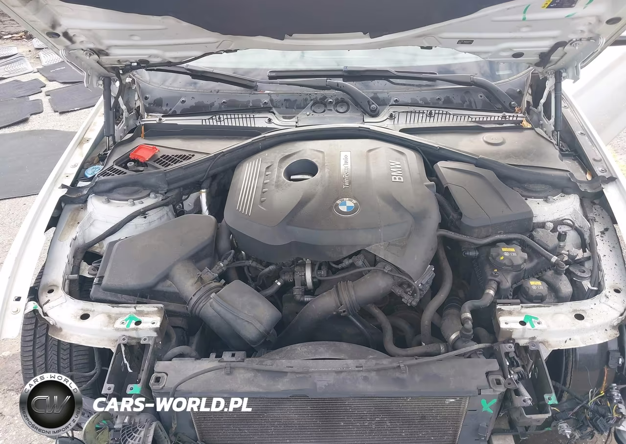 2017 BMW 230I VIN:WBA2F9C56HV664477 - 10