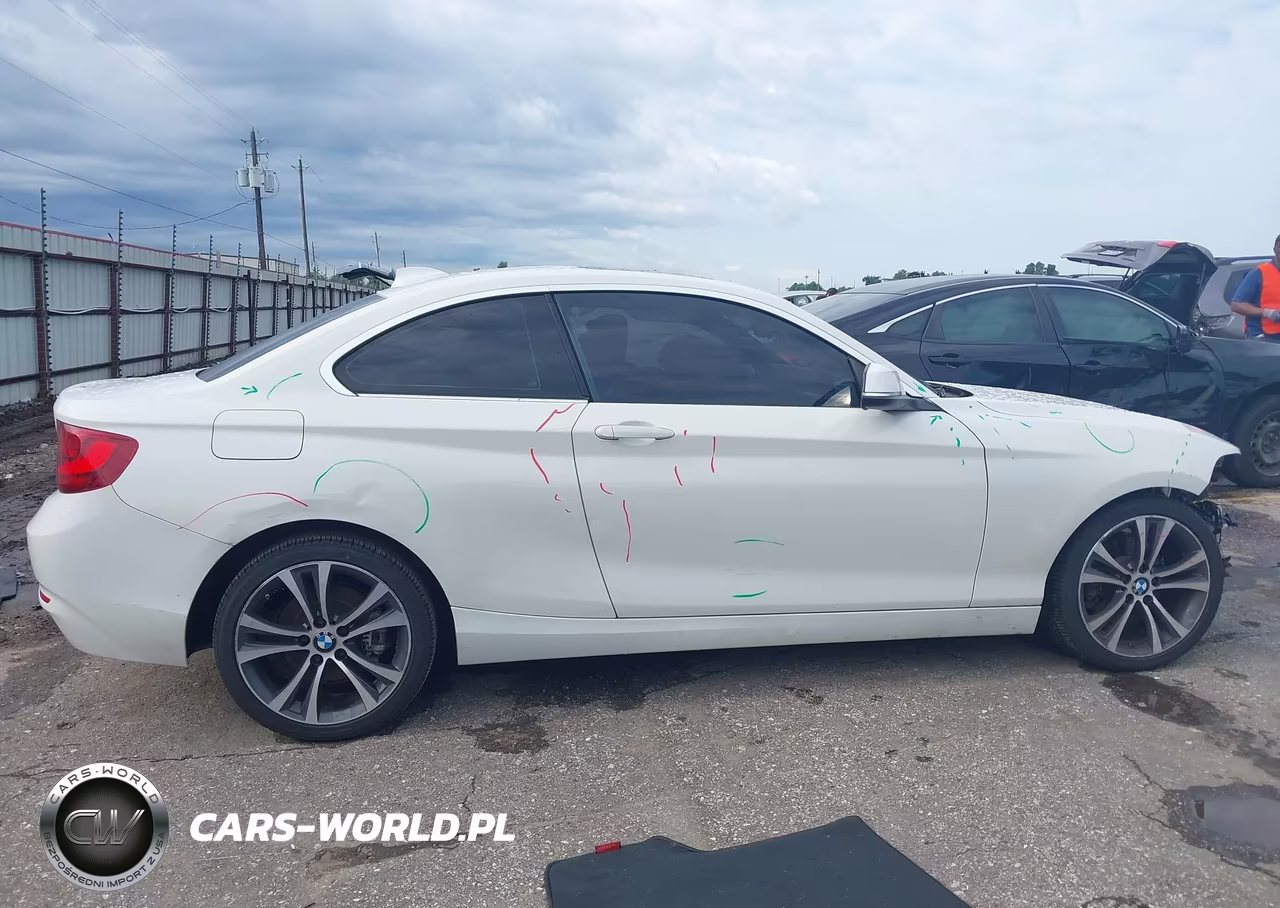 2017 BMW 230I VIN:WBA2F9C56HV664477 - 14