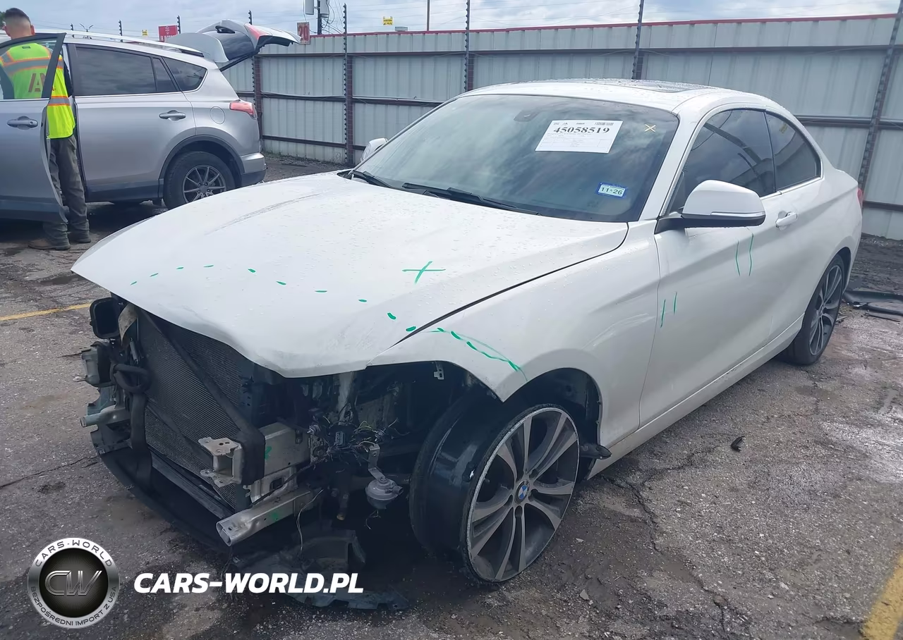 2017 BMW 230I VIN:WBA2F9C56HV664477 - 2