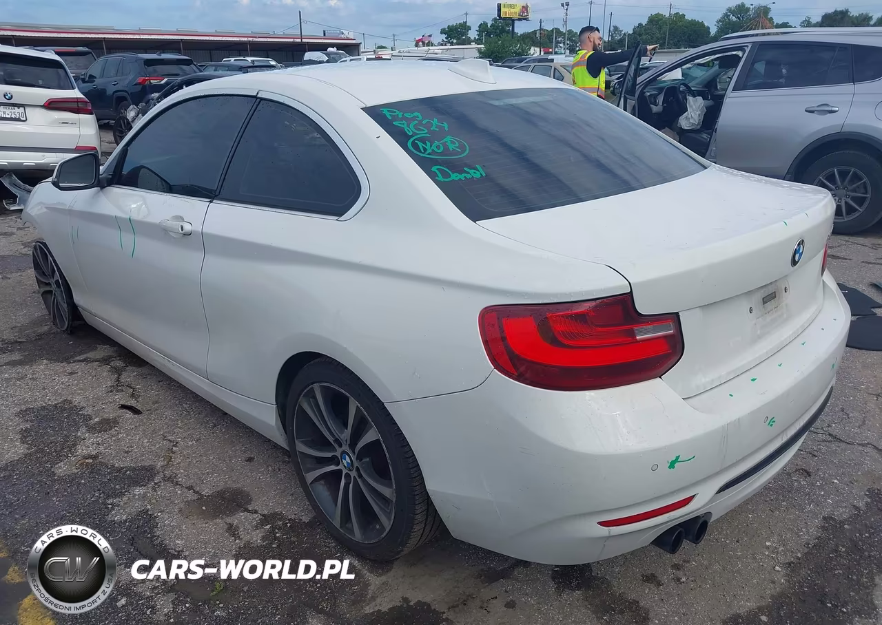 2017 BMW 230I VIN:WBA2F9C56HV664477 - 3
