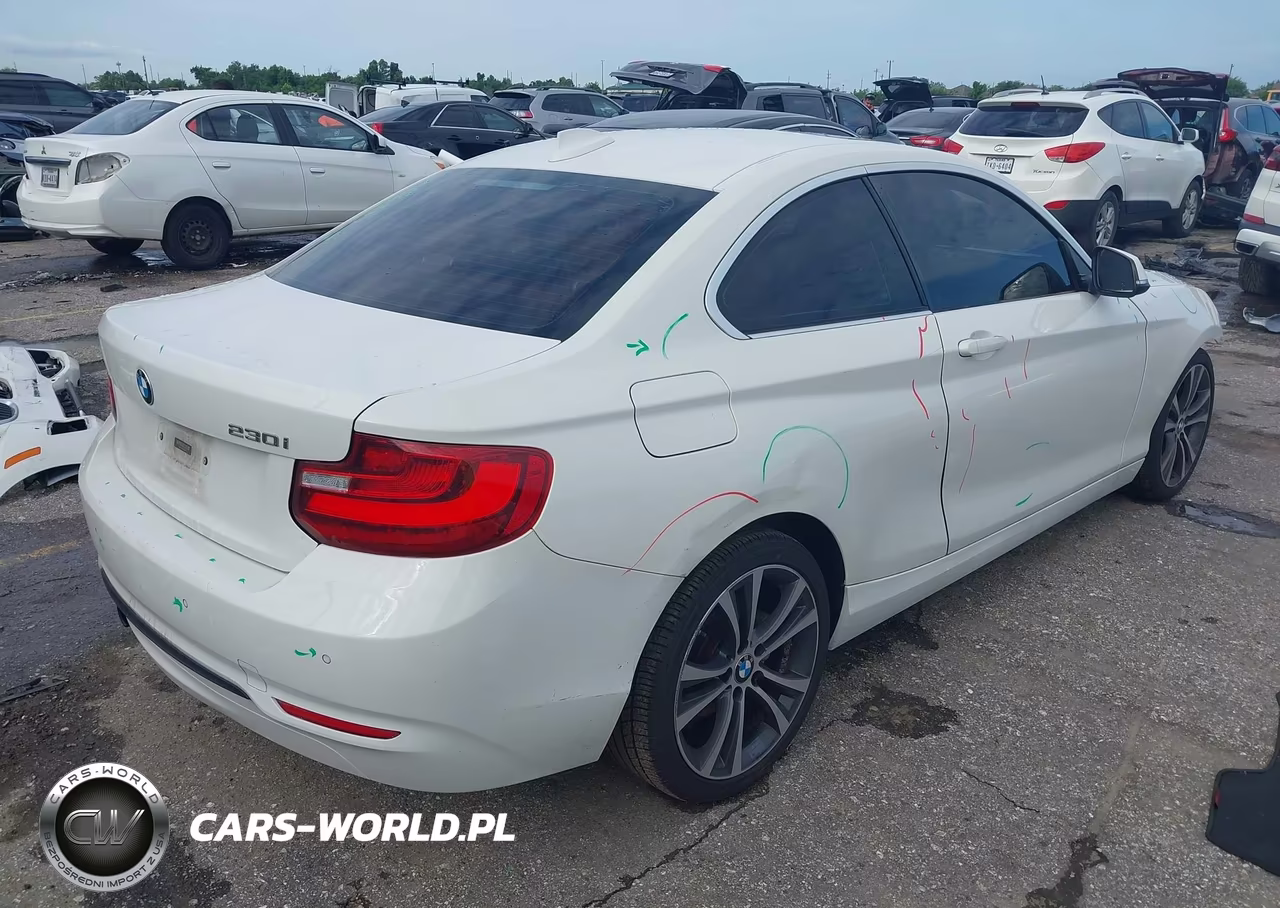 2017 BMW 230I VIN:WBA2F9C56HV664477 - 4