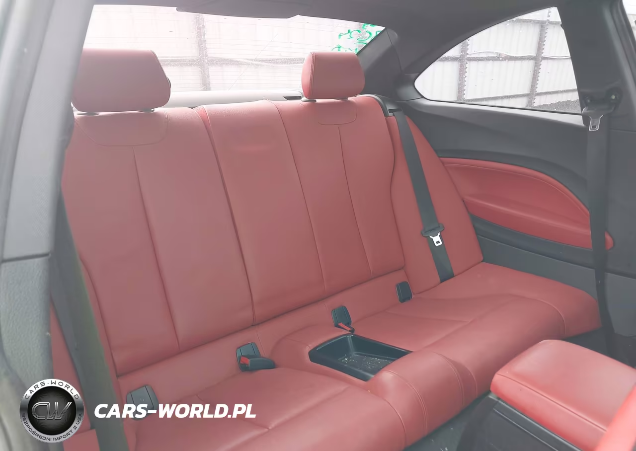 2017 BMW 230I VIN:WBA2F9C56HV664477 - 8