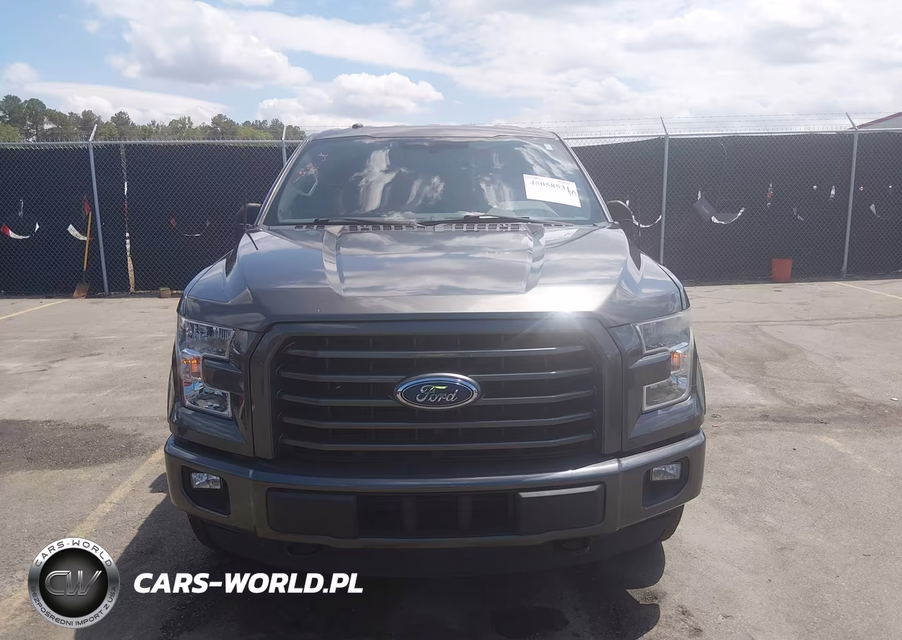 2017 Ford F-150 Xlt VIN:1FTEW1EPXHFC43484 - 12