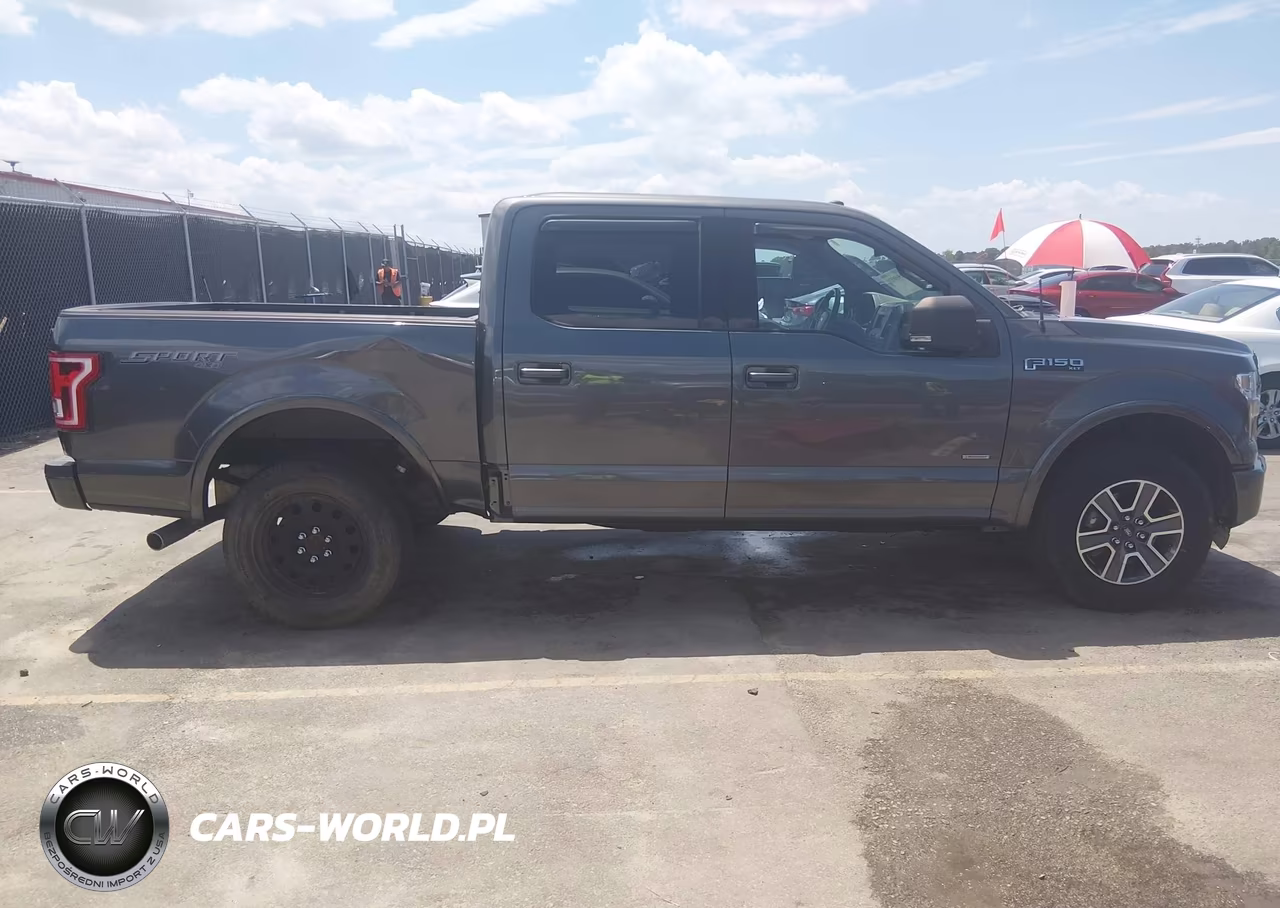 2017 Ford F-150 Xlt VIN:1FTEW1EPXHFC43484 - 13