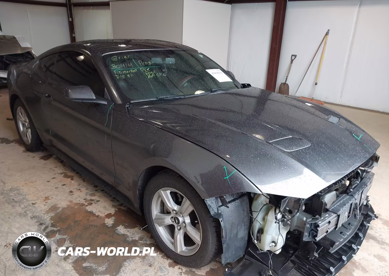 2019 Ford Mustang Ecoboost
