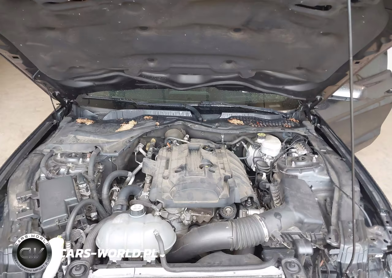 2019 Ford Mustang Ecoboost VIN:1FA6P8TH2K5166232 - 10