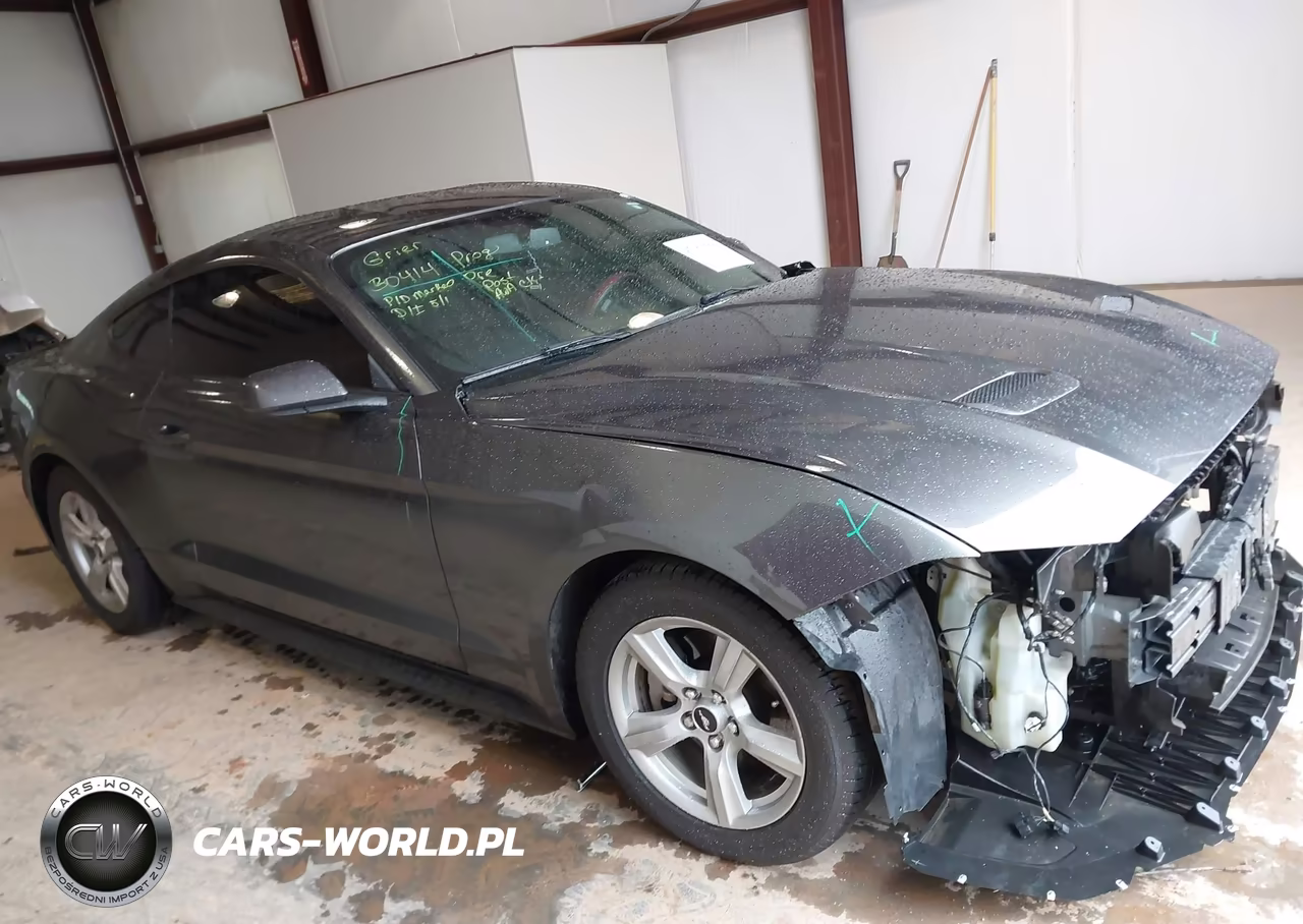 2019 Ford Mustang Ecoboost VIN:1FA6P8TH2K5166232 - 13