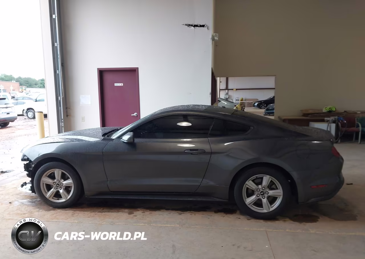 2019 Ford Mustang Ecoboost VIN:1FA6P8TH2K5166232 - 14