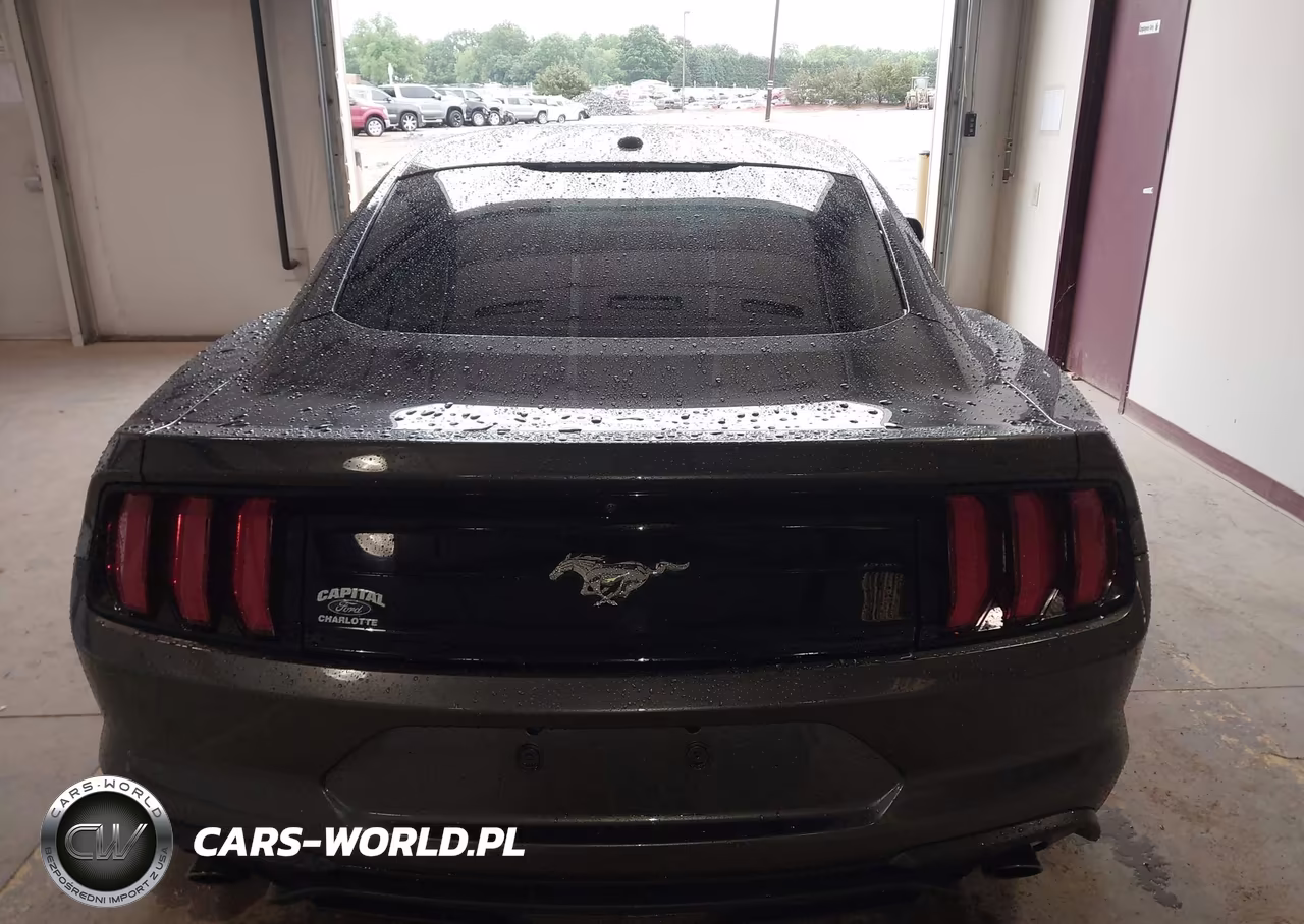 2019 Ford Mustang Ecoboost VIN:1FA6P8TH2K5166232 - 16