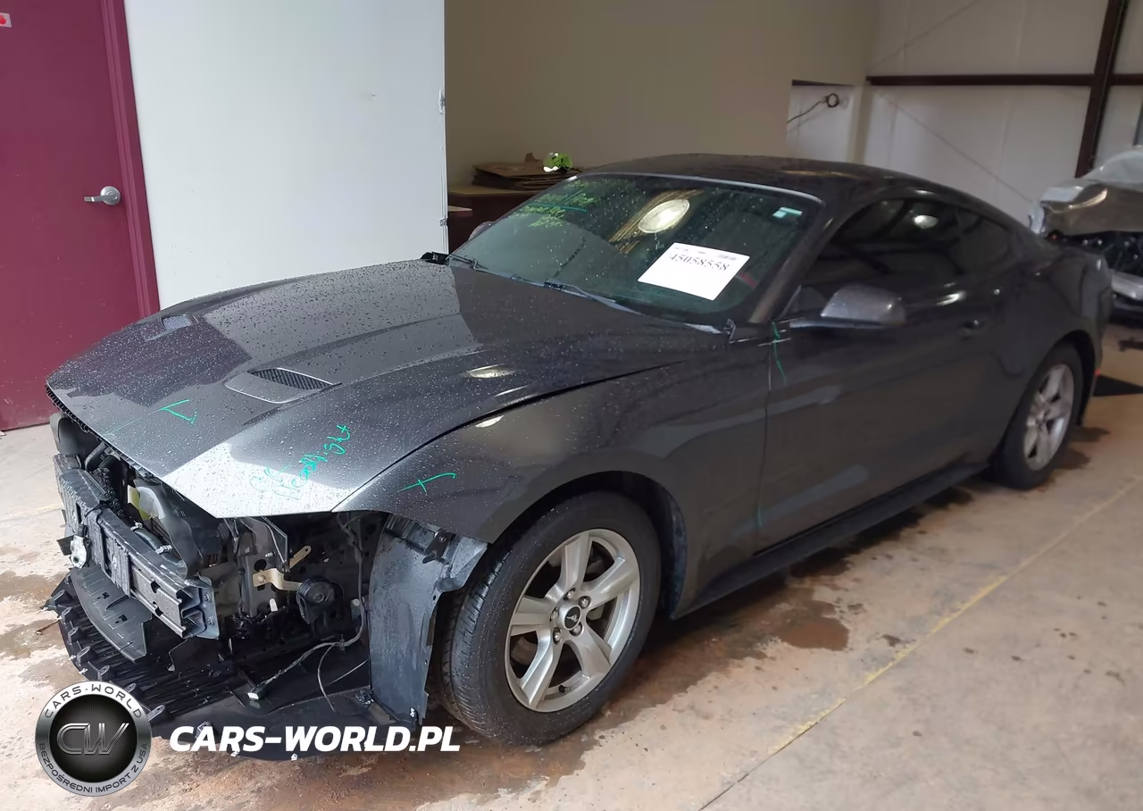 2019 Ford Mustang Ecoboost VIN:1FA6P8TH2K5166232 - 2