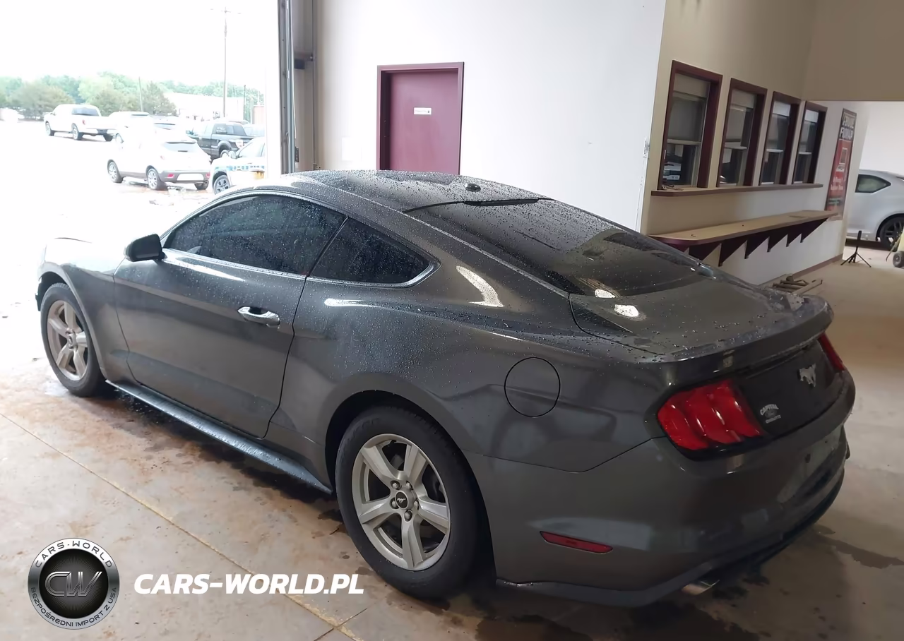 2019 Ford Mustang Ecoboost VIN:1FA6P8TH2K5166232 - 3
