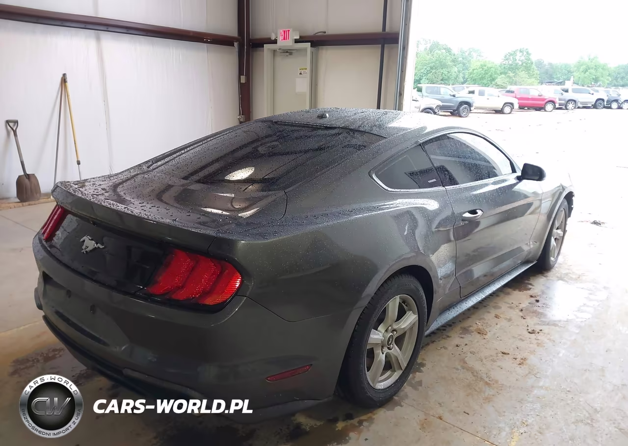 2019 Ford Mustang Ecoboost VIN:1FA6P8TH2K5166232 - 4