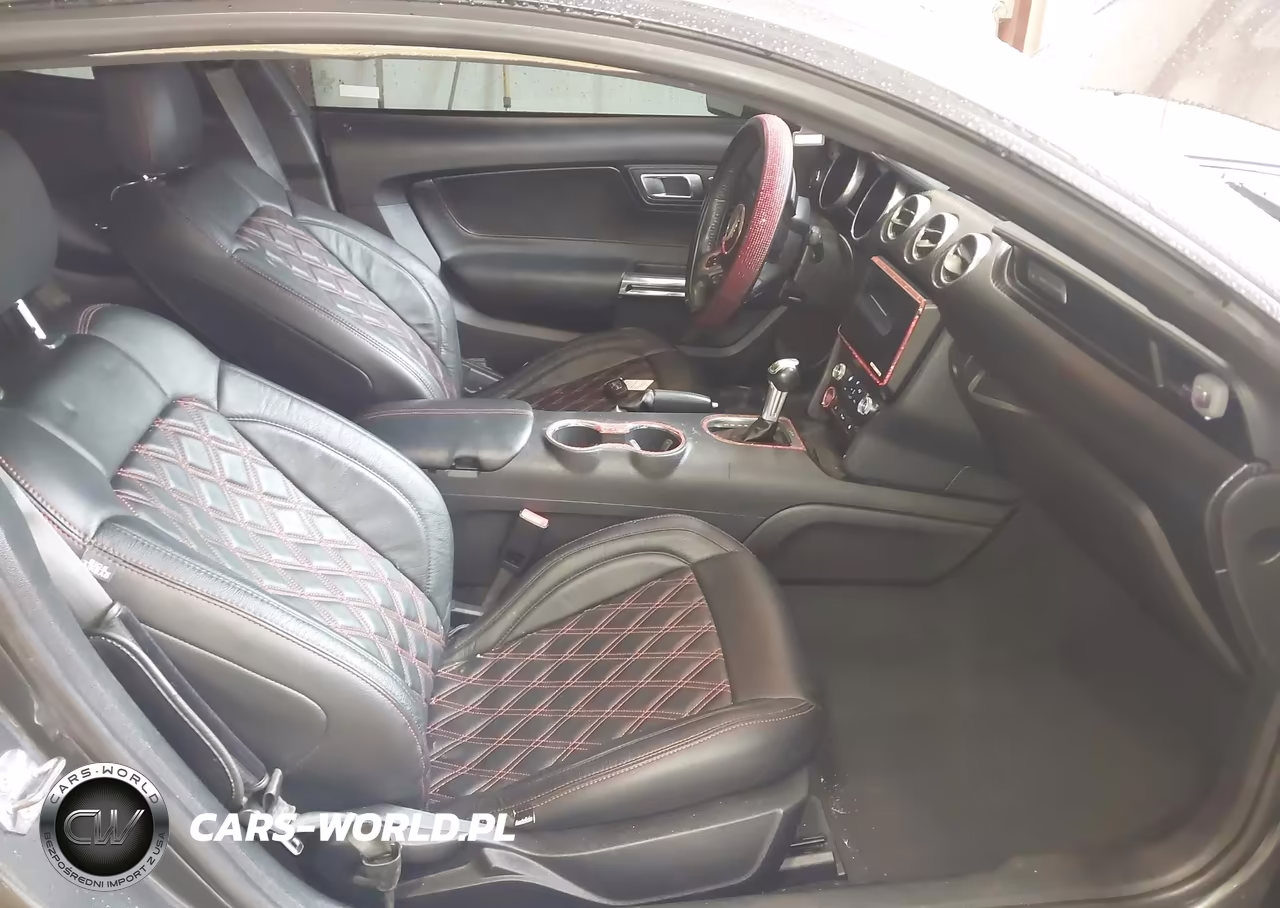 2019 Ford Mustang Ecoboost VIN:1FA6P8TH2K5166232 - 5